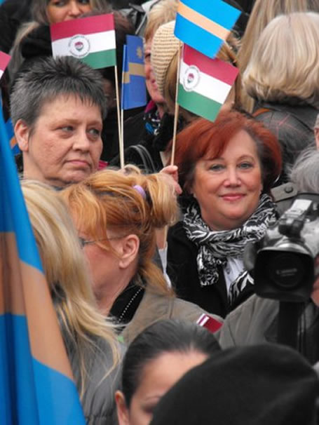 Szimpátiatüntetés a székelységért